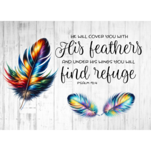 He will cover you with His feathers