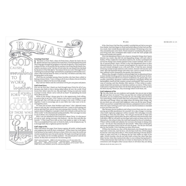 NLT Floral Fields Faux Leather Inspire Large Print Filament-Enabled Bible - Image 6
