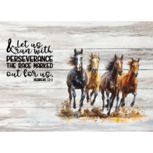 Let us run with perseverance