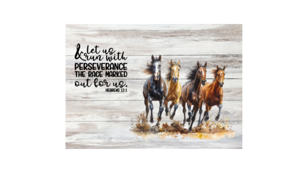 Let us run with perseverance