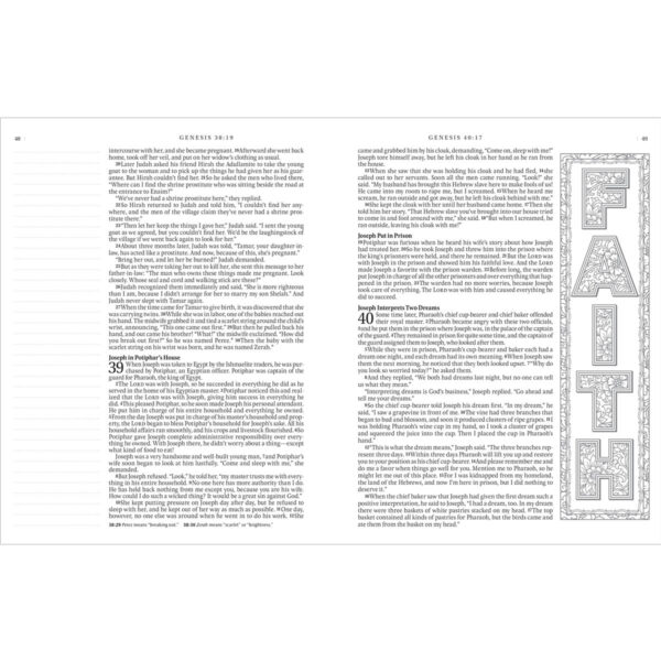 NLT Blue Faux Leather Hardcover Inspire Bible - Image 4