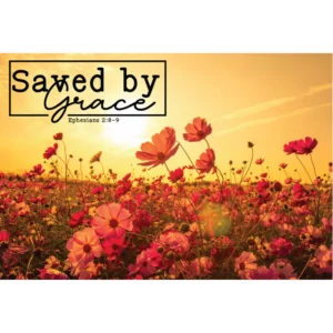 Saved By Grace