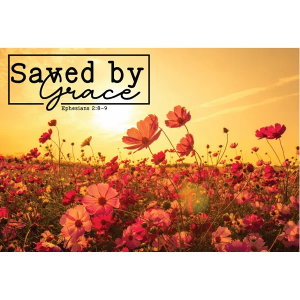Saved By Grace